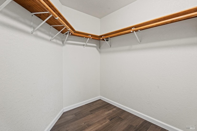 spacious closet with dark hardwood / wood-style floors