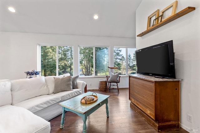 living room with dark hardwood / wood-style flooring