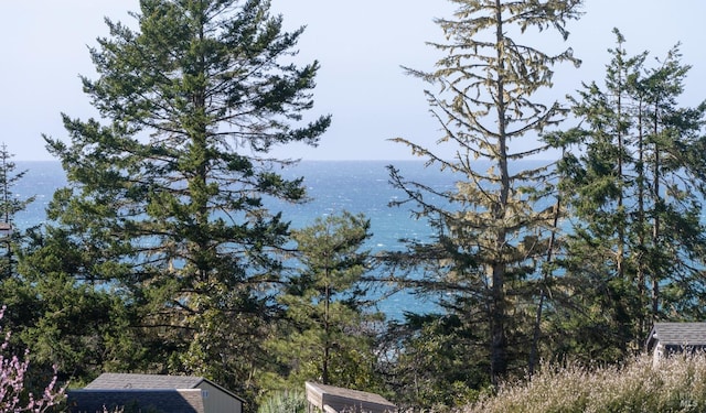 view of local wilderness with a water view