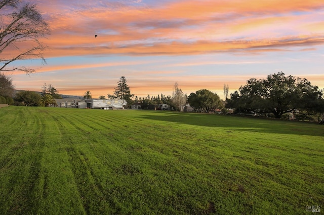 view of yard at dusk