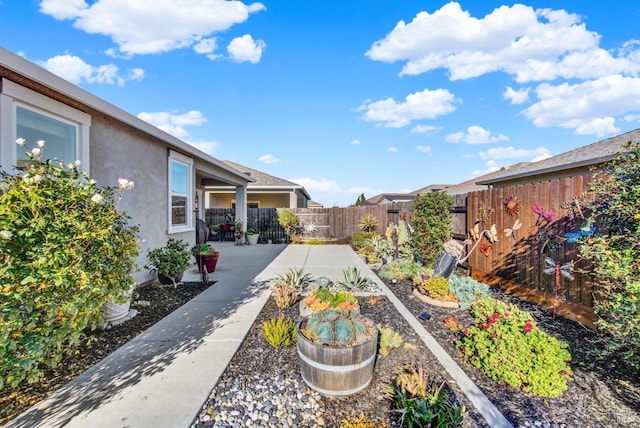 view of yard with a patio area