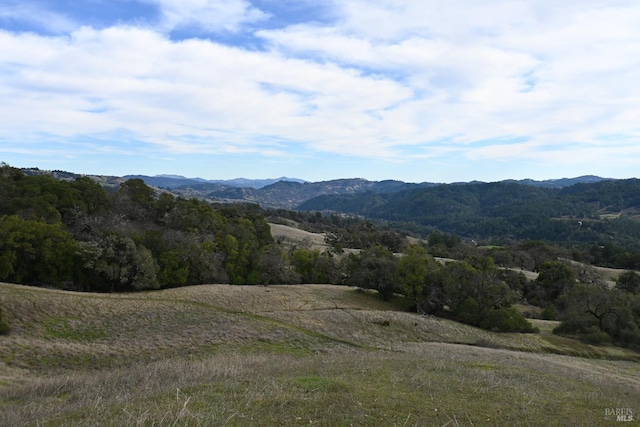 24051 Fig Tree Ln, Yorkville CA, 95494 land for sale