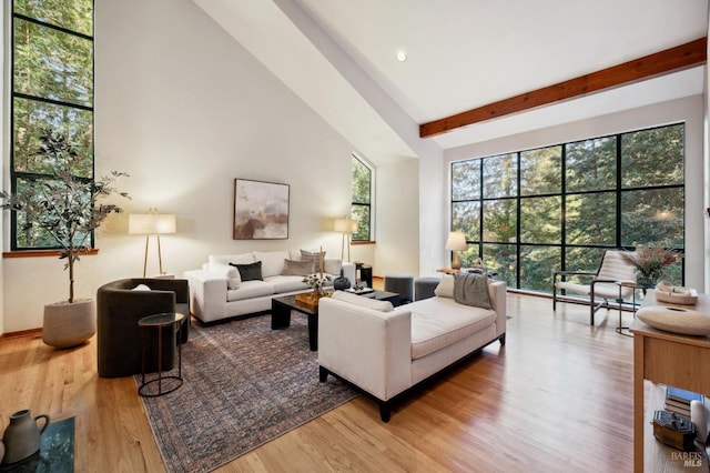 living room with beamed ceiling and hardwood / wood-style floors