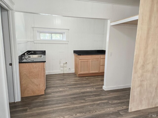 interior space with dark hardwood / wood-style flooring and sink