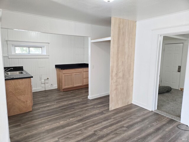 interior space with sink and dark wood-type flooring