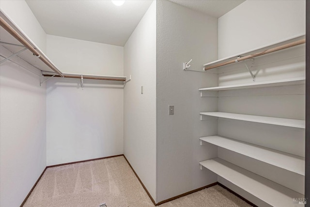 walk in closet featuring light colored carpet