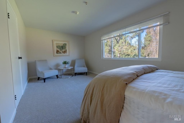 bedroom featuring light carpet