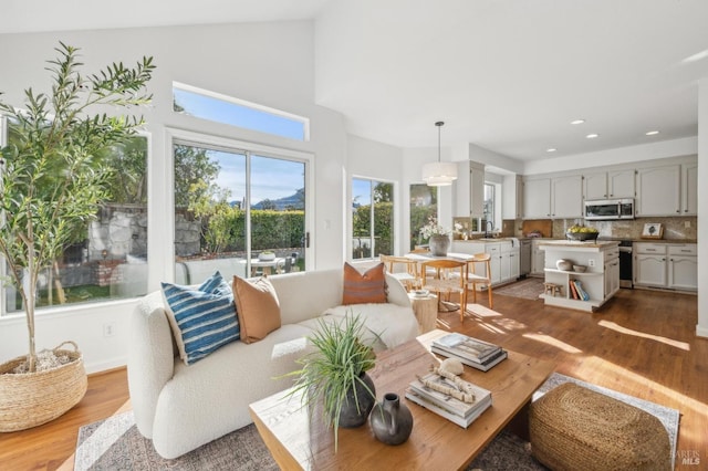 living room featuring sink, wood-type flooring, and plenty of natural light