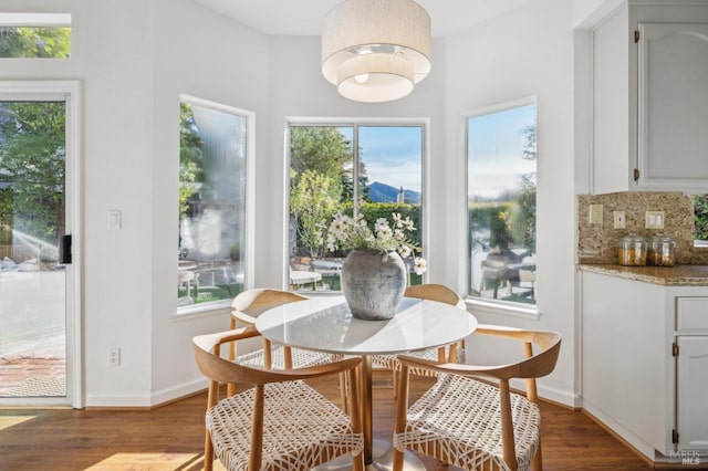 dining space featuring hardwood / wood-style flooring