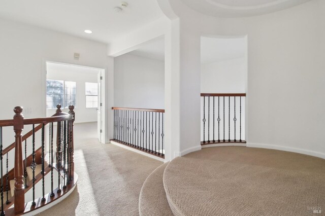 spacious closet with carpet flooring