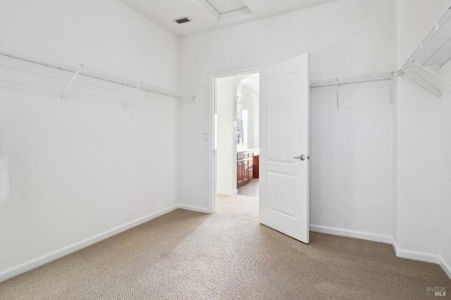 walk in closet featuring carpet floors