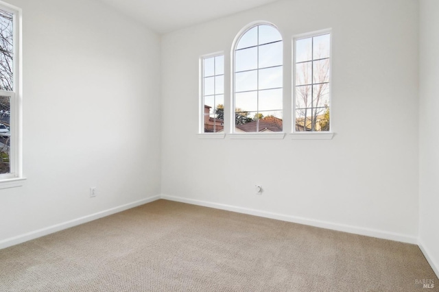 unfurnished room featuring carpet flooring and plenty of natural light