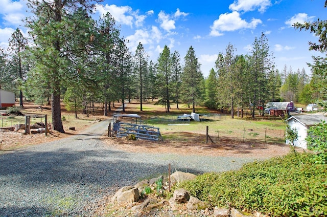 view of road featuring gravel driveway