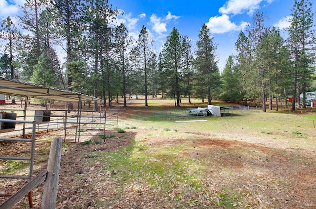 view of yard with an exterior structure and an outbuilding