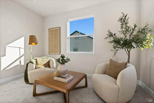 sitting room featuring carpet