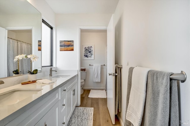 bathroom featuring toilet, vanity, and wood-type flooring