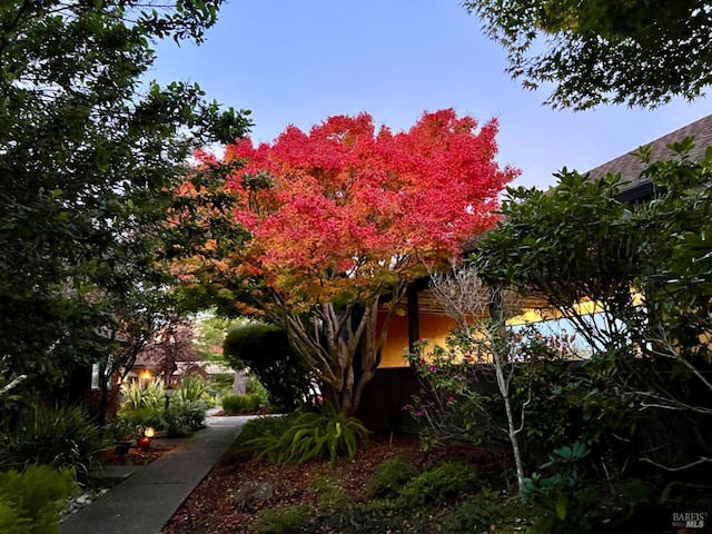 view of home's exterior