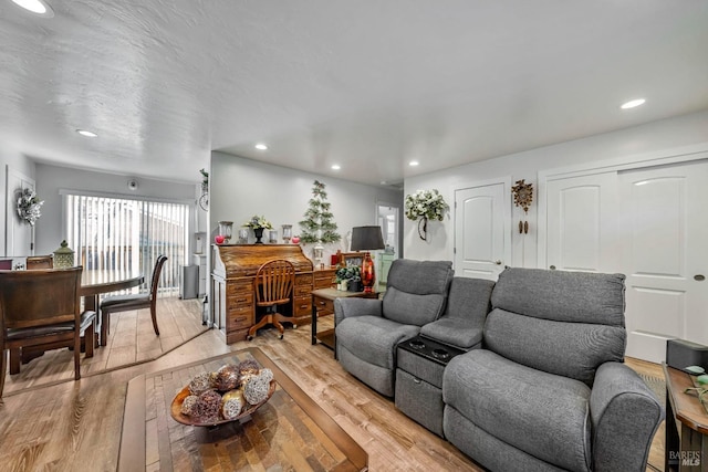 living room with light hardwood / wood-style flooring