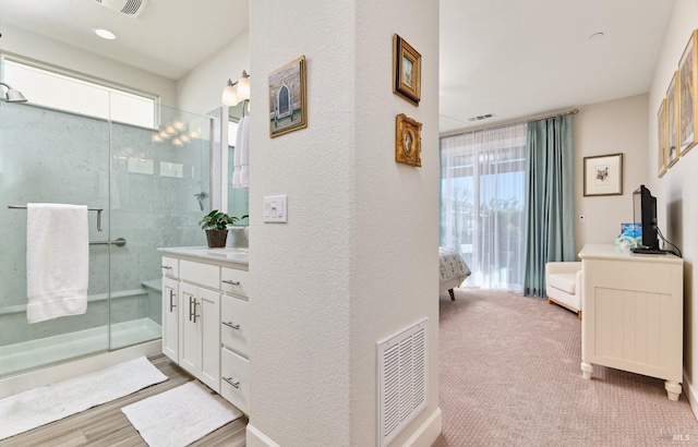 bathroom with vanity, plenty of natural light, and a shower with shower door