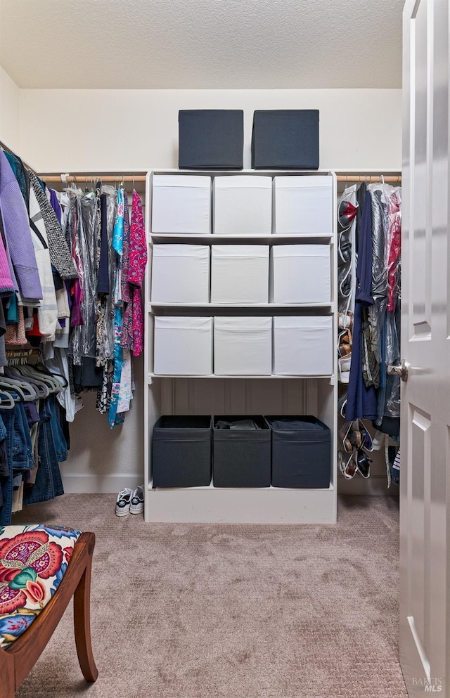 walk in closet with light colored carpet