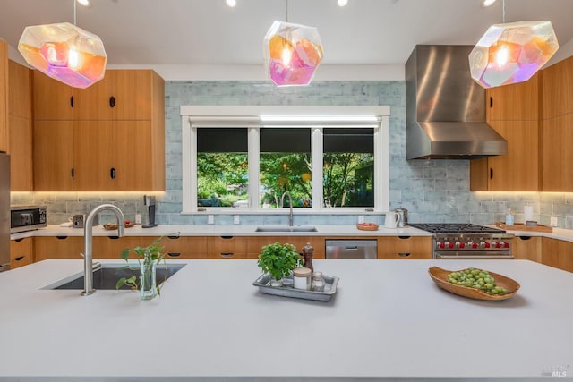 kitchen with wall chimney exhaust hood, decorative backsplash, sink, and appliances with stainless steel finishes