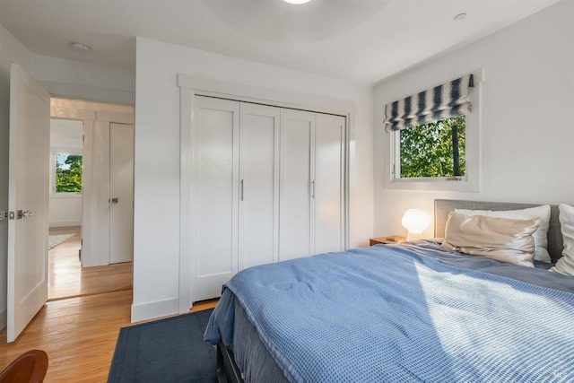 bedroom featuring a closet, light hardwood / wood-style flooring, and multiple windows