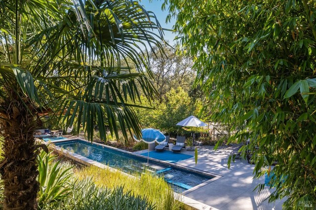 view of pool featuring a patio