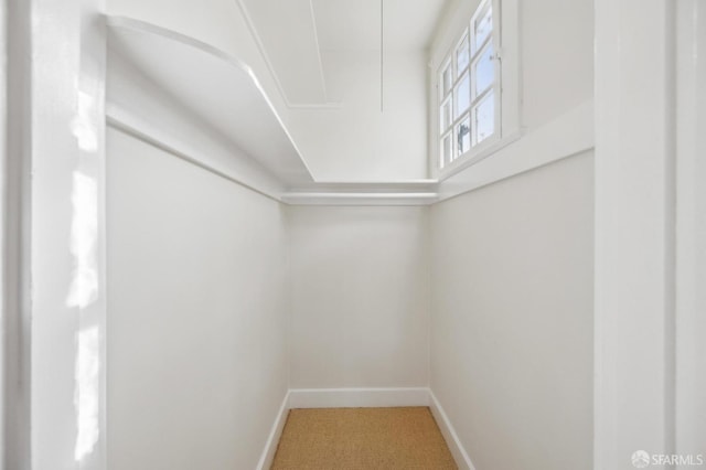 spacious closet featuring carpet floors