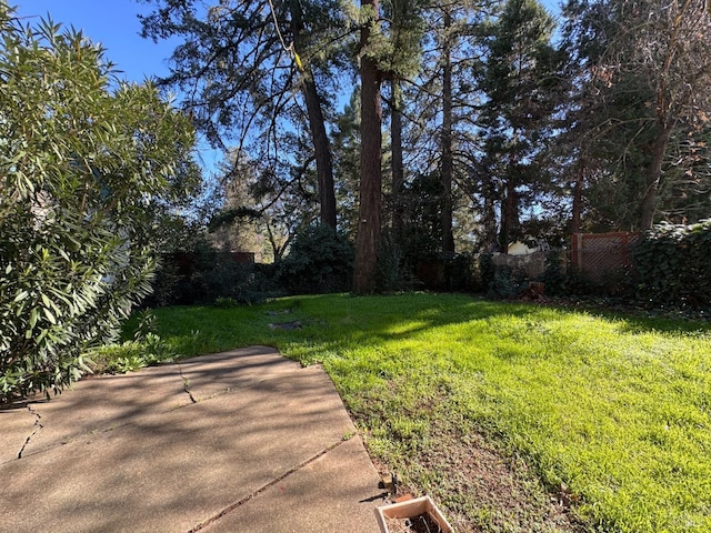 view of yard with a patio area