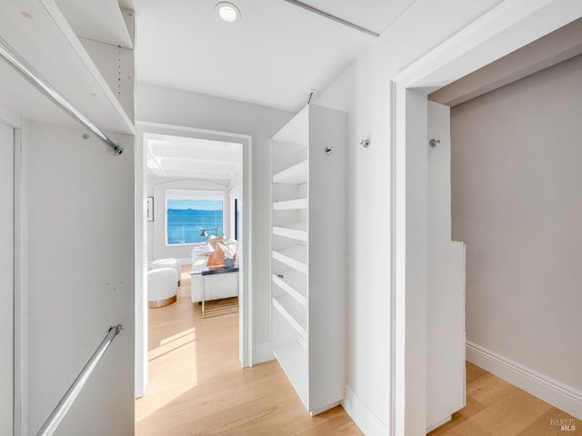 spacious closet with light wood-type flooring