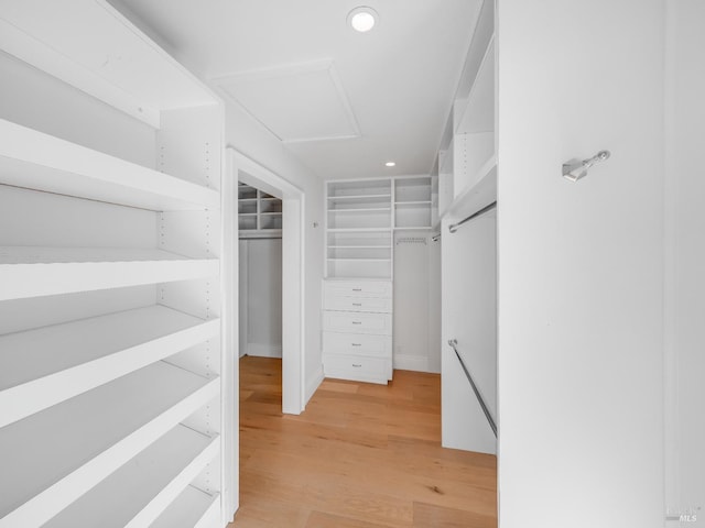 walk in closet featuring light wood-type flooring