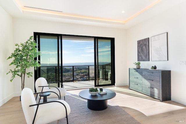 sitting room with a raised ceiling and light hardwood / wood-style flooring