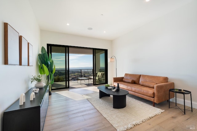 living room with light wood-type flooring