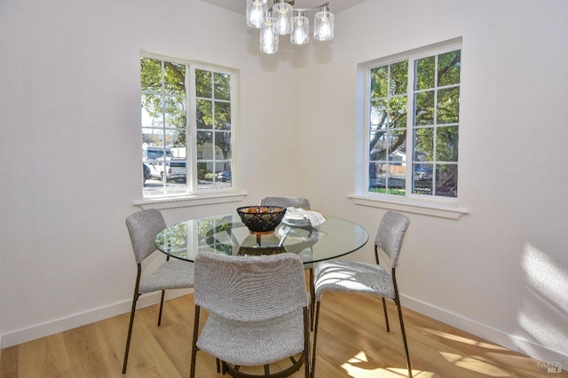 dining room with light hardwood / wood-style flooring