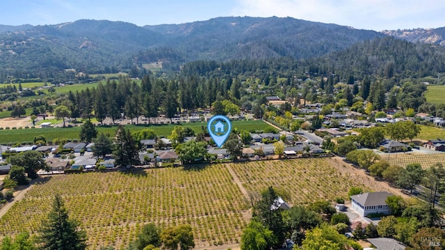 bird's eye view featuring a mountain view and a rural view