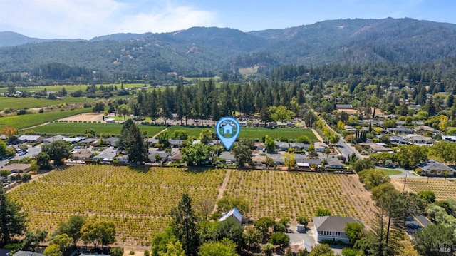 birds eye view of property with a rural view and a mountain view