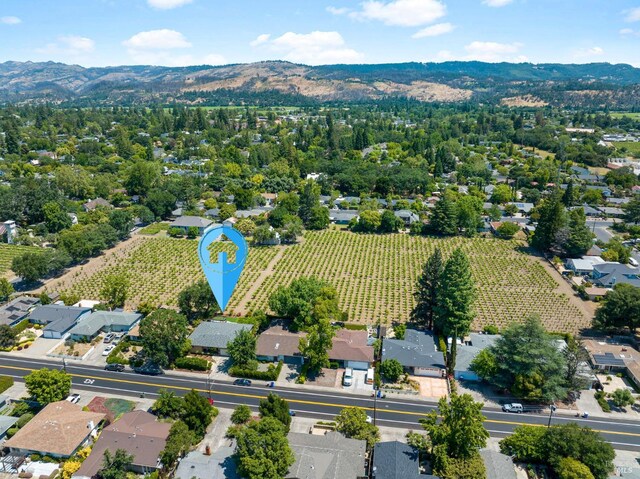 aerial view with a mountain view