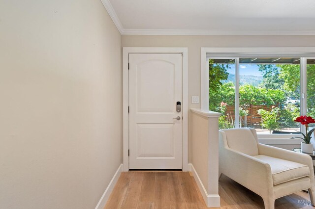 doorway to outside featuring ornamental molding, a wealth of natural light, and light hardwood / wood-style flooring