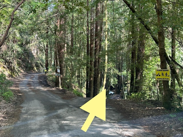 view of road with a wooded view