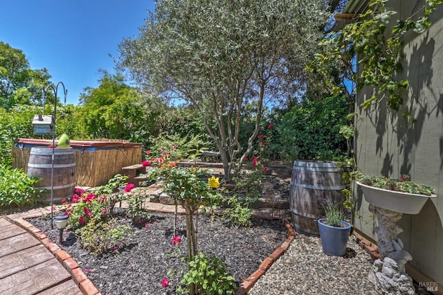 view of yard featuring a hot tub