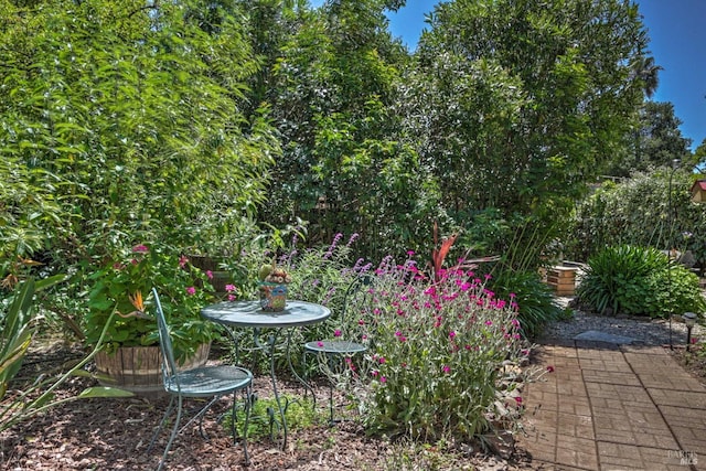 view of yard featuring a patio area