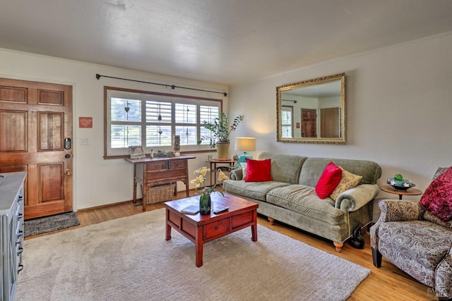 living room featuring light hardwood / wood-style floors