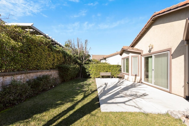 view of yard featuring a patio area