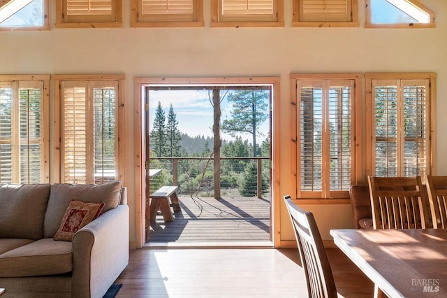 entryway featuring a healthy amount of sunlight and hardwood / wood-style flooring