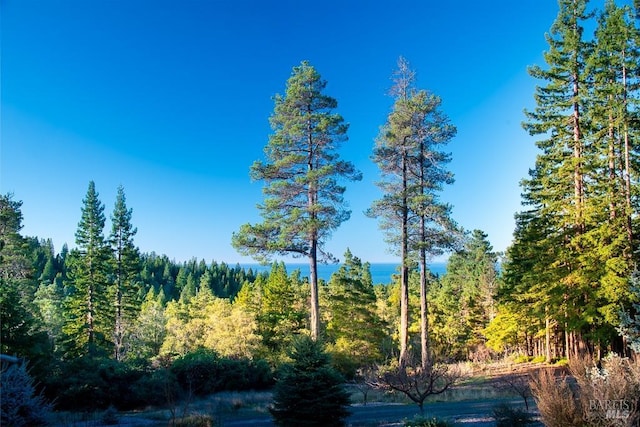 40695 Roseman Creek Rd, Gualala, CA 95445 - view of woods