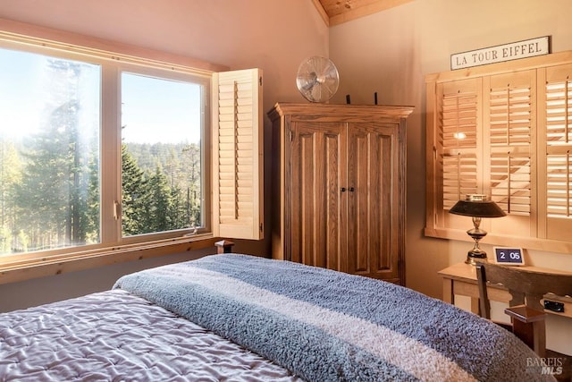 bedroom featuring multiple windows and lofted ceiling