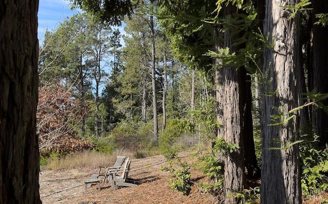 40695 Roseman Creek Rd, Gualala, CA 95445 - view of yard featuring a forest view