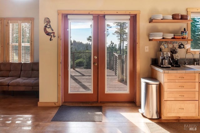 entryway featuring sink and wood-type flooring