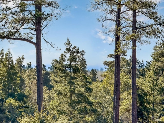 40695 Roseman Creek Rd, Gualala, CA 95445 - view of tree filled area