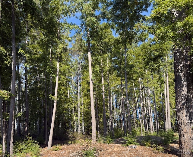 view of local wilderness